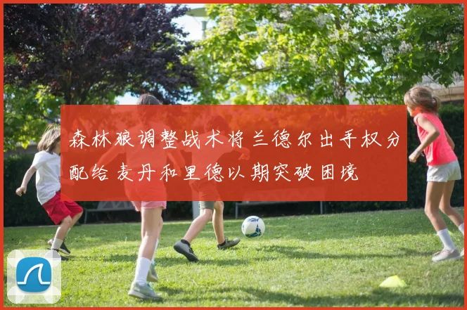 森林狼调整战术将兰德尔出手权分配给麦丹和里德以期突破困境